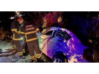 Zeytin bahçesine devrilen aracın sürücüsü yaralandı