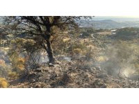 Kumluca’da 20 hektar ormanlık alan yangında zarar gördü