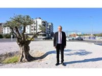 Kepez’den ‘ekolojik’ peyzaj