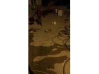 Çekmeceye giren yılan paniğe neden oldu