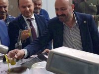 Zeytinde verim arttı, yağın fiyatı 160 TL’ye kadar düştü