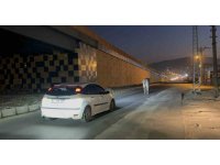 Tırdan kaçarak şehir turuna çıkan angus iğneyle bayıltılarak yakalandı