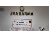 Adana’da 8 bin 523 adet uyuşturucu hap ele geçirildi
