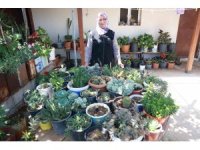 Evinin her tarafında çiçek eken kadın, 500’ten fazla farklı çiçek yetiştirmeyi başardı