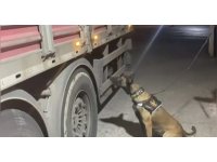 Osmaniye’de durdurulan tırda 21 kilo 700 gram uyuşturucu ele geçirildi