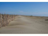 Adana’da erozyonla mücadele kapsamında fidan dikimi yapıldı.