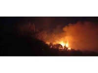 Dörtyol’da sazlık alanda yangın çıktı