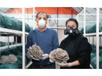 Mantar yetiştiriciliği kursu ile hem kazanıyor, hem kazandırıyor