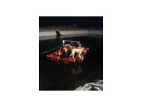 Havuza düşen köpek işçiler tarafından kurtarıldı