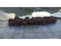 Eğirdir Gölü’nde yasak avcılara büyük darbe 200 kilo Kerevit kurtarıldı