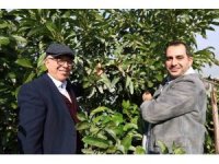 Hukuk profesörü baba ile doktor oğlu ata topraklarında 30 ton avokado üretiyor