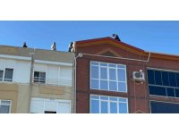 Dişlerini yaptıramadığı için çatıya çıktı, polisten söz alınca ikna olup polise sarıldı