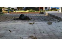 Eski eşi tarafından üzerine benzin dökülerek yakılmıştı, hayatını kaybetti