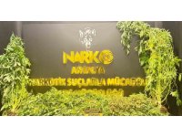 Antalya’da son 1 haftada 11 kilogram skunk ele geçirildi