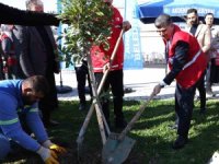 Akdeniz Belediyesi, depremde hayatını kaybedenler anısına fidan dikti