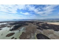 Kuş cenneti cehenneme döndü, bin dönümlük alan yandı