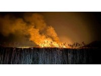 Yamadı Gölü alevlere teslim oldu, yangın 5 saatte kontrol altına alındı