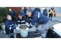 Antalya Otobüs Terminali’nde 300 kilogram midyeye el konuldu