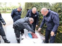 Antalya’da çuval içerisinde şehirlerarası otobüsle gönderilen 1,5 ton ciğer ele geçirildi