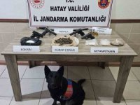 Jandarma ekipleri Şubat ayında 61 şahıs hakkında yasal işlem yaptı