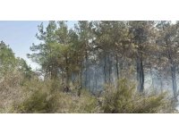 Kemer’deki orman yangını kontrol altına alındı, 2 hektarlık alan zarar gördü