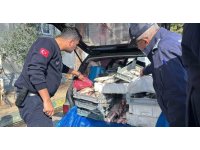 Tarsus’ta sağlıksız şartlarda ele geçirilen 750 kilo balık imha edildi