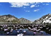 Karagöl manzarasıyla mest etti