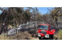 Mersin’de orman yangını: 1,5 hektar alan zarar gördü