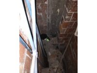 Havalandırma boşluğuna düşen kediyi itfaiye kurtardı