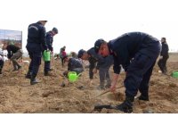Burdur’da ’doğanın lezzeti ormanda saklı’ diyerek bin 600 fidan toprakla buluşturuldu