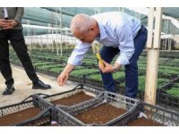 Alanya Belediyesi bitki üretiminde yüzde 50 tasarruf sağlandı