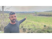 Keçilerini otlatan çobana silahlı saldırı: 1 keçi telef, 1 keçi yaralı