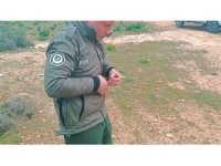 Yaralı ve bitkin bulunan Ebabil kuşu koruma altına alındı