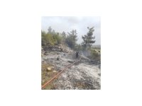 Yayladağı’nda ormanlık alanda yangın