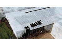 Mersin’de yangın nedeniyle 2 sera zarar gördü