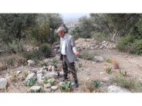 Bakımsız bebek mezarlığı tepkilere neden oluyor