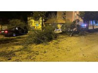 Isparta’da otomobil refüje çarparak 3 ağacı devirdi: 1 yaralı