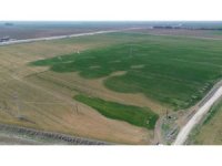 Kuraklığın etkisiyle yarıkların oluştuğu Amik Ovası için bilim adamından kritik uyarı