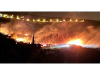 Arsuz’da çıkan orman yangını kontrol altına alındı