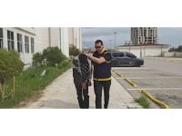 18 yaşındaki genç sevgilisini rahatsız eden şahsın babasını öldürdü