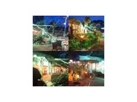 Devasa ağaç yıkıldı, 2 kişi hafif yaralandı