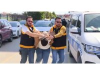 17 yaşındaki genci gasbedemeyince böyle dövdüler: 4 şüpheli yakalandı