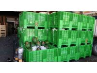 Halden 700 kilo karpuz çalındı: O anlar kamerada