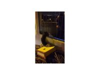 Demir korkuluklarda sıkışan köpeği itfaiye kurtardı