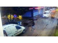 Devrilen çam ağacının altında kalmaktan kıl payı kurtuldular