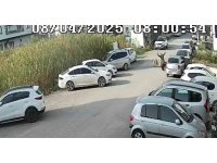 Sokak köpeklerinin saldırdığı yaşlı kadın yaralandı