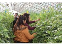 Akdeniz Üniversitesi öğrencilerinin 207 projesi TÜBİTAK tarafından desteklenecek