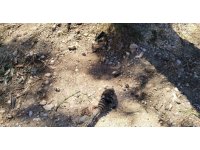 Otomobil ters döndü, tekeri koptu, sürücü yara almadan kurtuldu