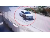 Yol artasındaki eşeği ezdi