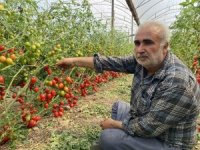 Üreticiden fiyat farkına tepki: "Domates bizden 15 TL’ye alınıyor marketlerde 70 TL’ye satılıyor. Aradaki farkı kim yiyor"